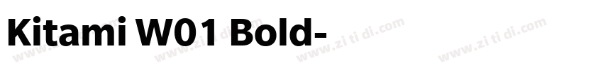 Kitami W01 Bold字体转换